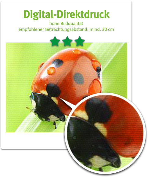 Digital-Direktdruck Digital-Direktdruck