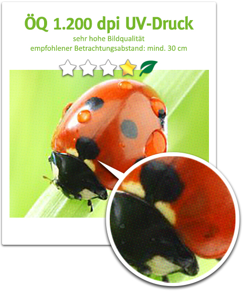 ÖQ 1200 dpi Latex-Druck ÖQ 1200 dpi Latex-Druck